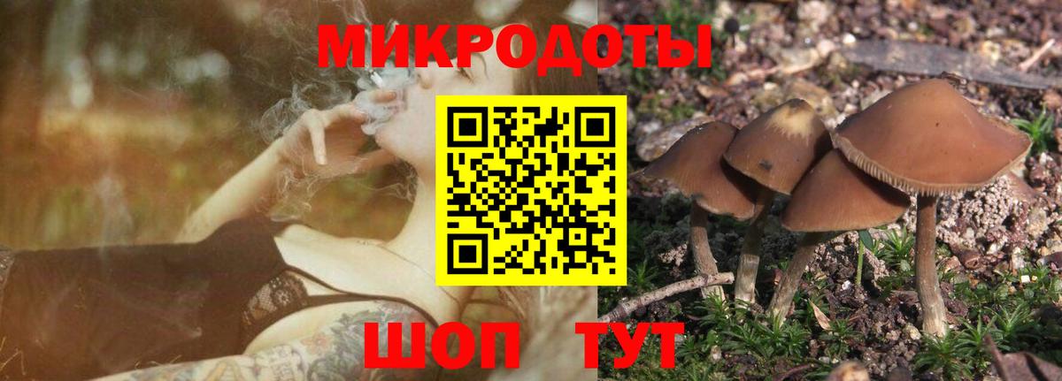 Галлюциногенные грибы MAGIC MUSHROOMS Нижнекамск