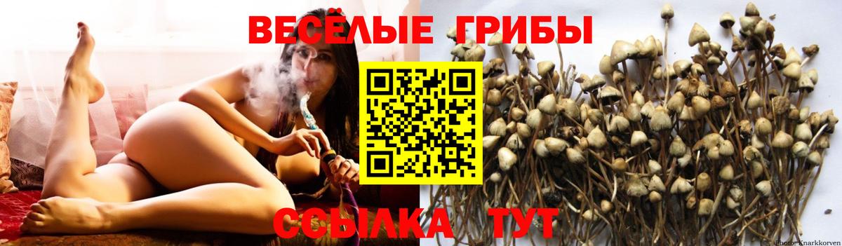 Галлюциногенные грибы Cubensis  Вход с VPN  Псилоцибиновые грибы прущие грибы  Нижнекамск 